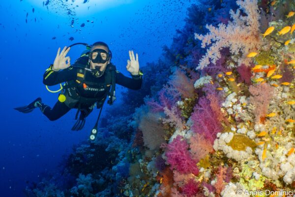 Por qué Hurghada es ideal para bucear