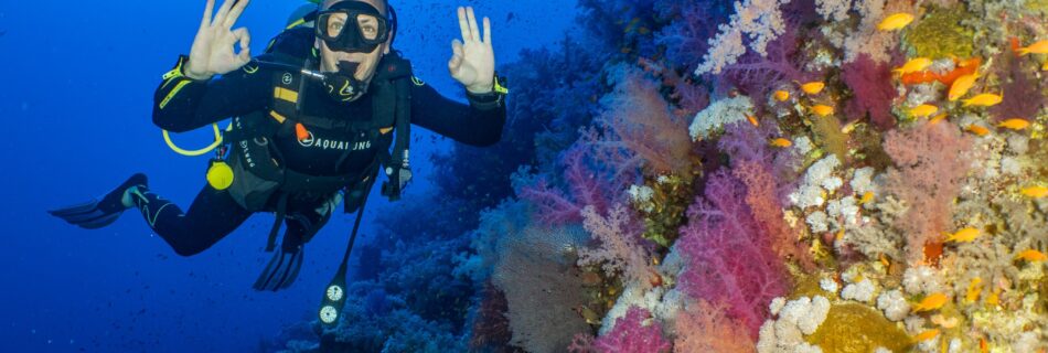 Por qué Hurghada es ideal para bucear