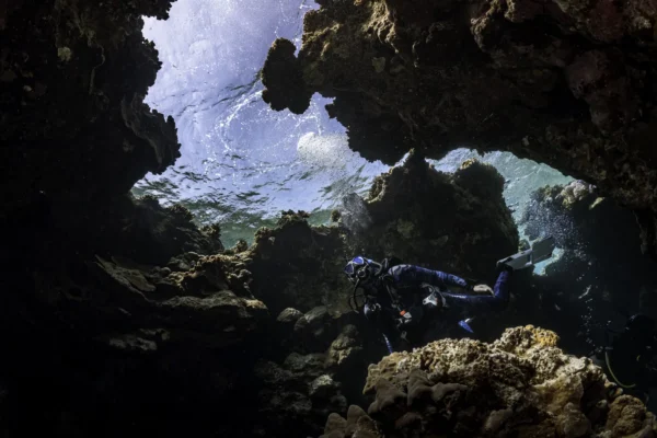 Requisitos para bucear en Hurghada