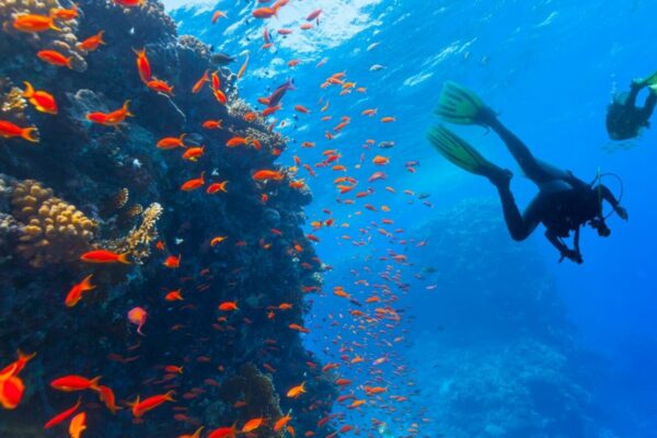 Buceo en Hurghada Mar Rojo