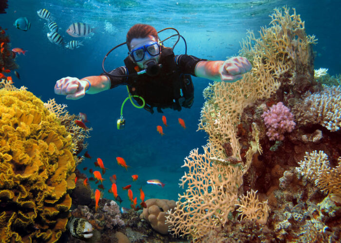 PADI Advanced Open Water Diver Course in Hurghada