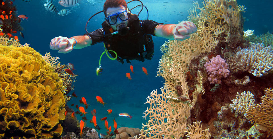 PADI Advanced Open Water Diver Course in Hurghada