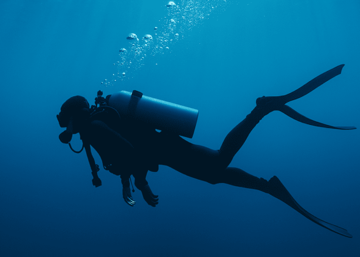 Diver in the blue deep
