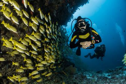 PADI Diving Center in Hurghada – Dive Into the Magic of the Red Sea with DiveNemo