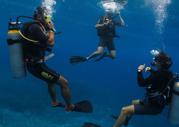 Scuba Diving in Hurghada – The Ultimate Red Sea Diving Experience with DiveNemo