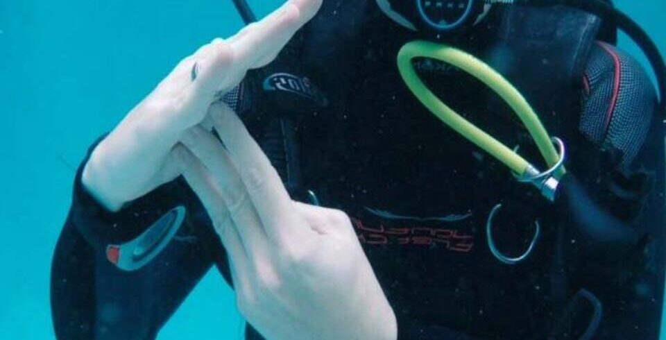 Diving Signals Explained – Scuba Diving Communication in Hurghada