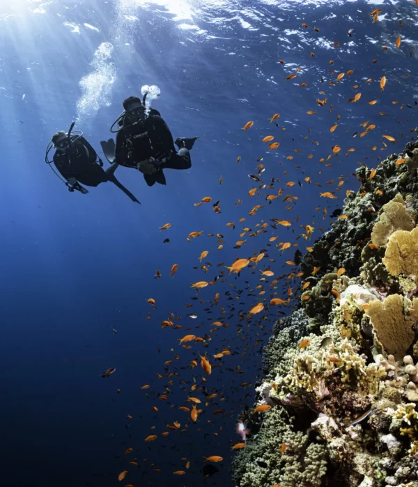 2 Días de Buceo en Hurghada – 4 Inmersiones en el Mar Rojo