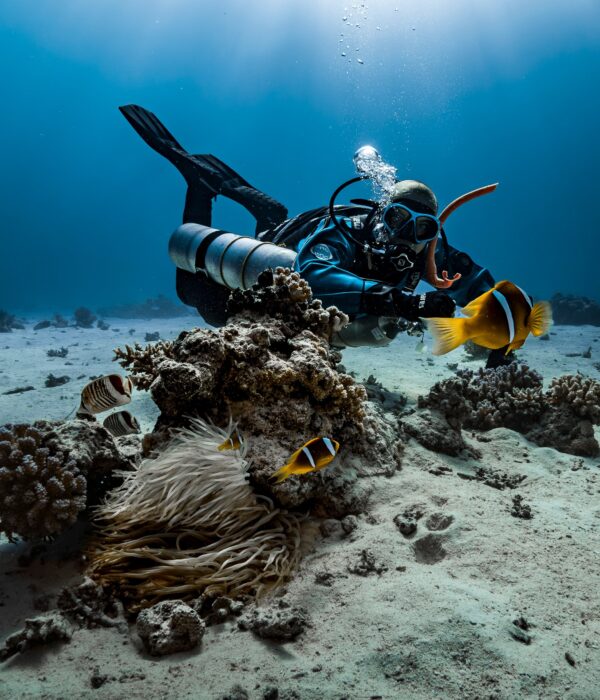 3 Days Diving In Hurghada