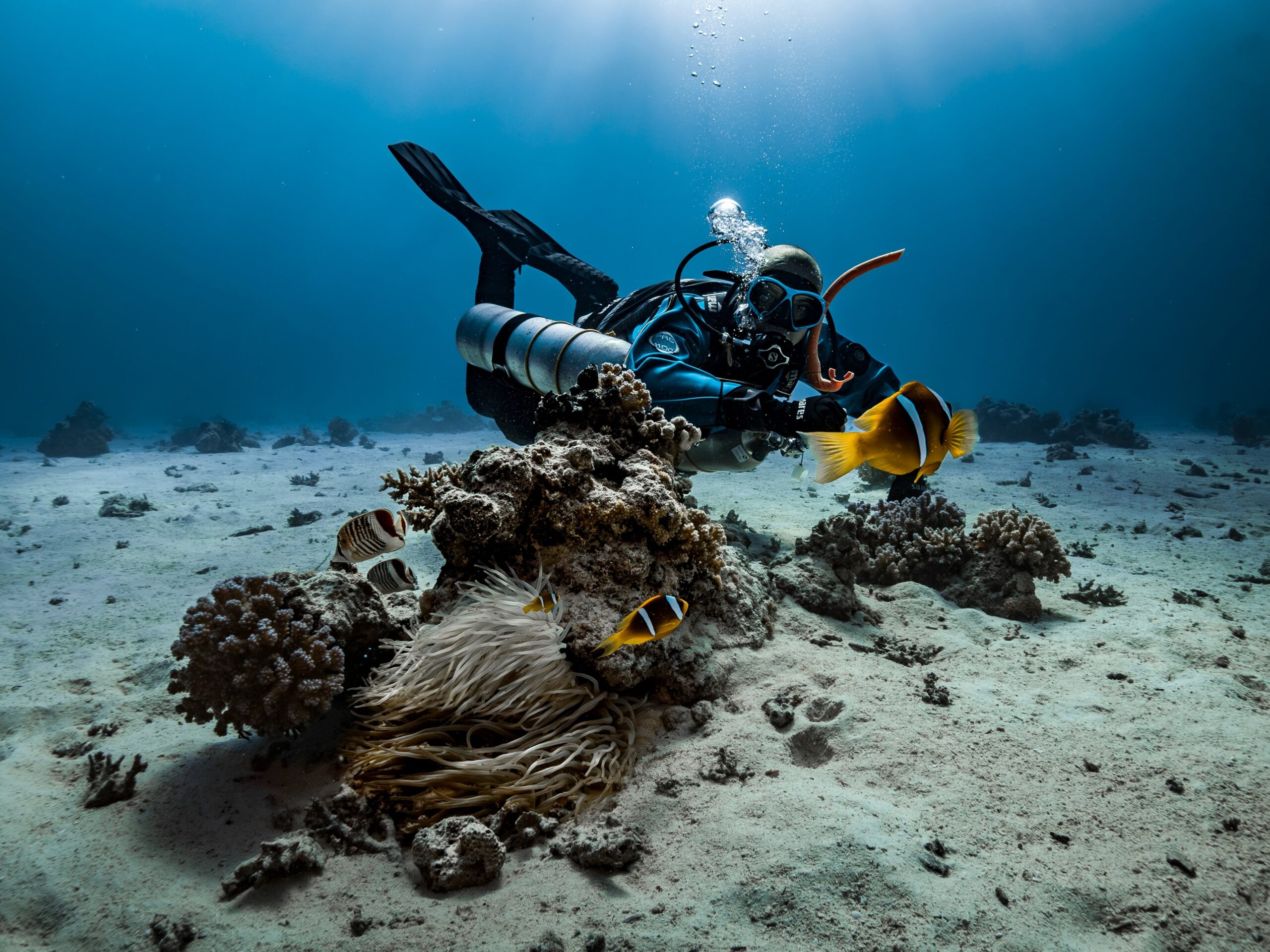 3 Days Diving In Hurghada