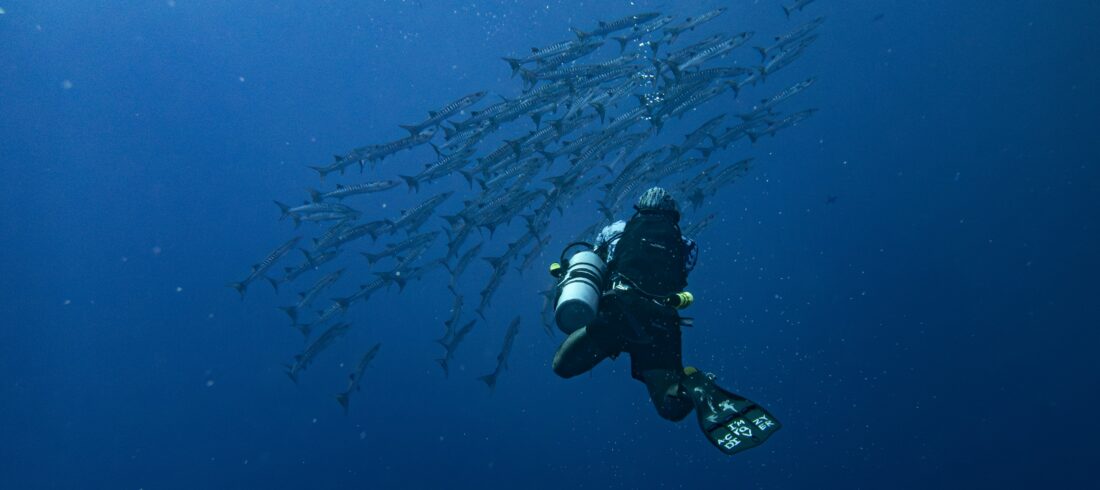 4 Days Diving In Hurghada