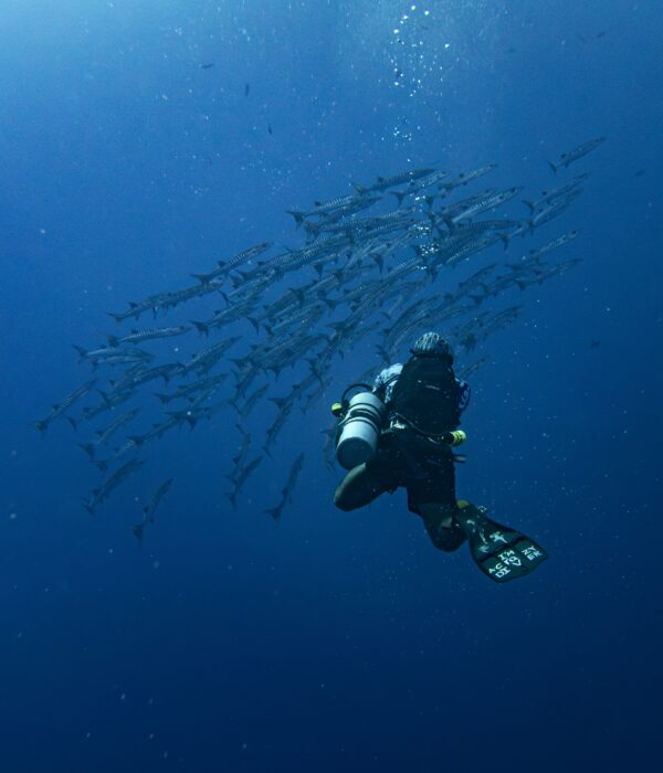 4 Days Diving In Hurghada