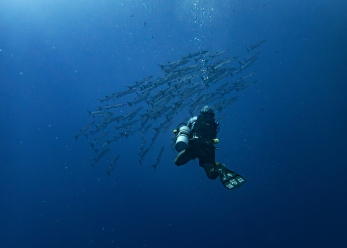 4 Days Diving In Hurghada