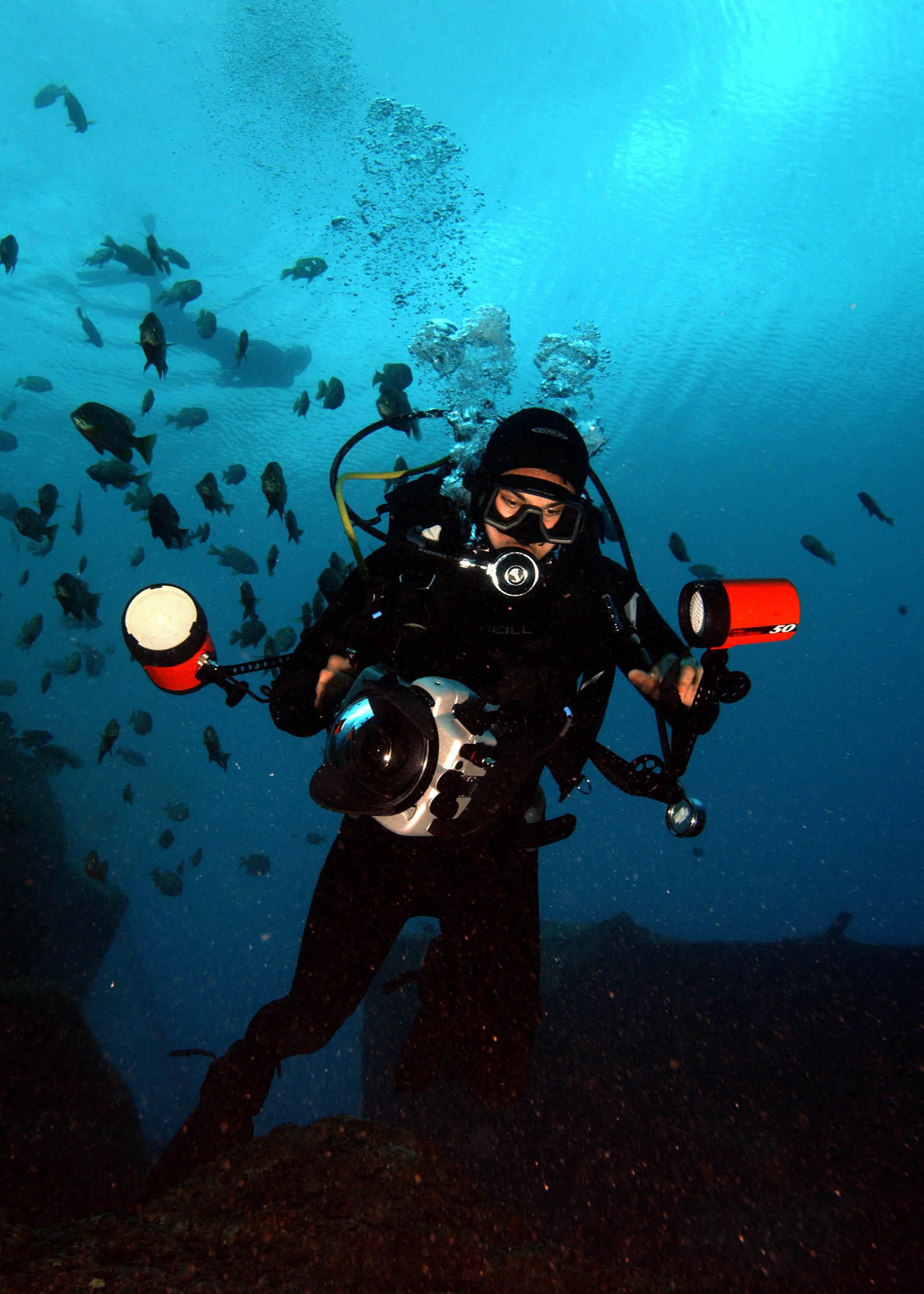 8 Days Diving In Hurghada