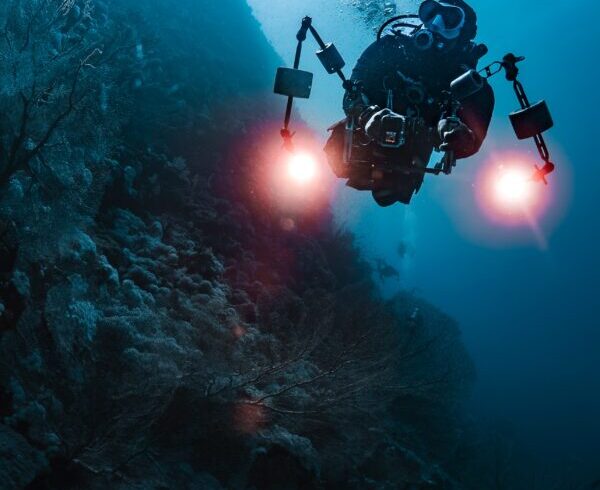 Diving In Hurghada