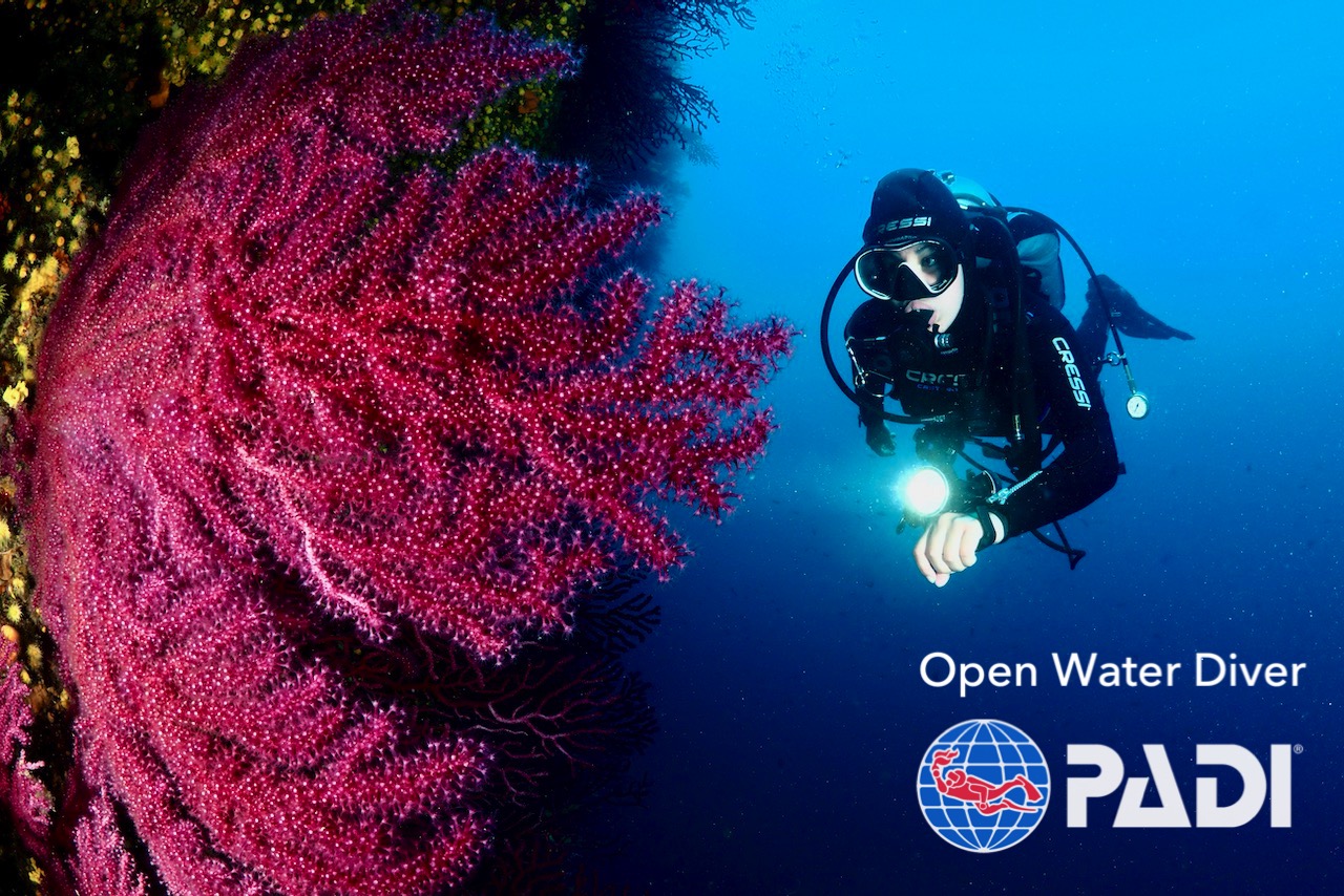 PADI Open Water Diver Course in Hurghada