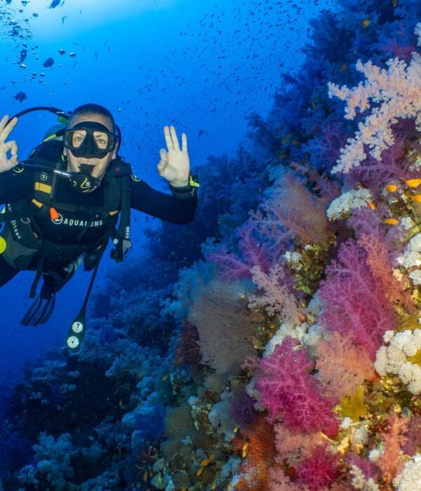 Curso PADI Rescue Diver en Hurghada