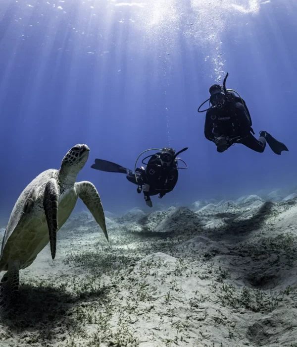 Bautismo de Buceo en Hurghada