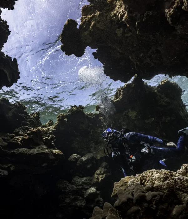 Buceo de 1 Día en Hurghada