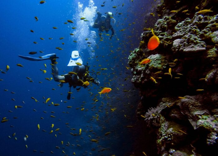 Dive Nemo Hurghada Prices